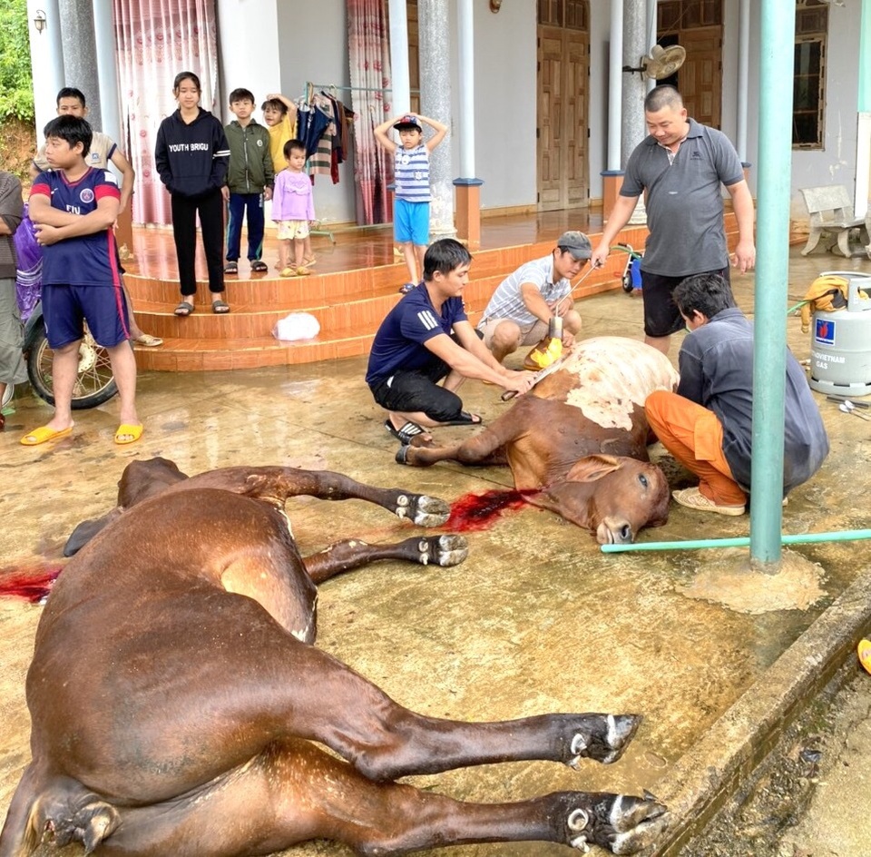 Lũ lớn đổ xuống quá nhanh, người dân vùng cao không kịp trở tay - 3 Lũ lớn đổ xuống quá nhanh, người dân vùng cao không kịp trở tay - 3