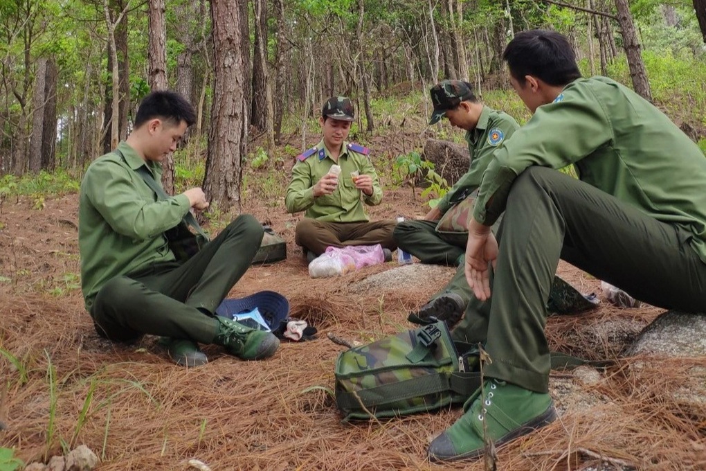 Gia Lai sai phạm như thế nào trong quản lý rừng và đất? - 2 Gia Lai sai phạm như thế nào trong quản lý rừng và đất? - 2