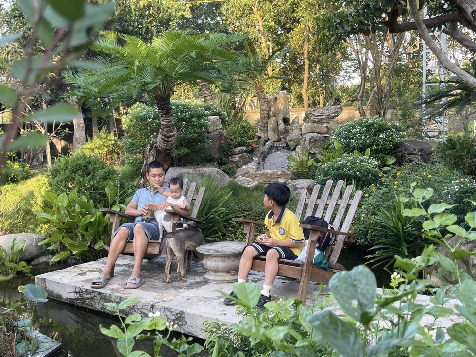 Trốn khói bụi, giám đốc ở Hà Nội về quê làm vườn 3.500m2 ngập hoa trái - 8