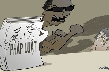 Đất nước này không phải của Khánh trắng, Năm Cam…