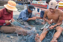 Bộn bề khó khăn, ngư dân vẫn quyết vươn khơi, bám biển 