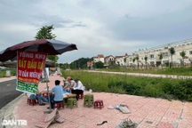 Giá đất huyện Hoài Đức ra sao trước thềm đấu giá 52 lô?