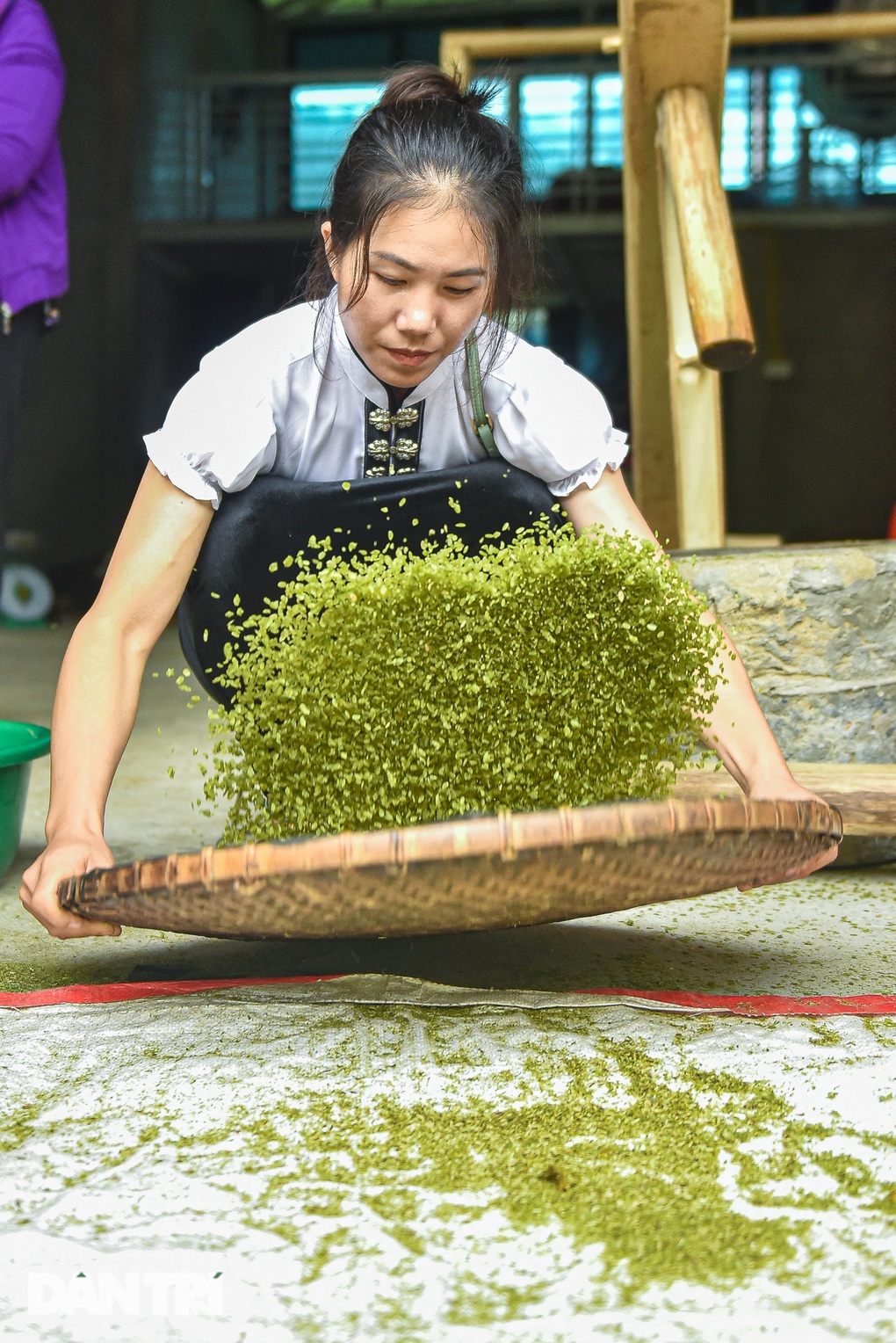 Phát triển vùng trồng nếp tan - loại gạo tạo ra đặc sản cốm ở Mù Cang Chải - 5 Phát triển vùng trồng nếp tan - loại gạo tạo ra đặc sản cốm ở Mù Cang Chải - 5