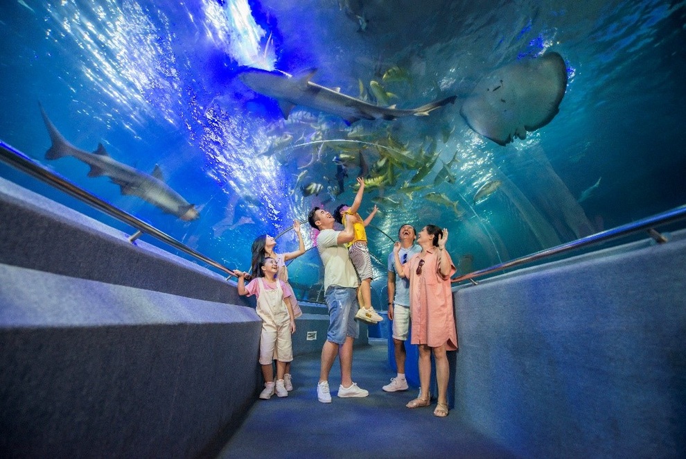 Chuyện ngôn tình đặc biệt dưới lòng đại dương - 8