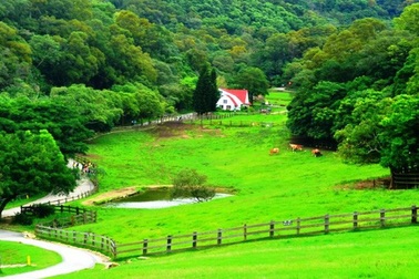 Trải nghiệm nông nghiệp du lịch Đài Loan nghỉ - ăn – chơi đẹp ngất ngây