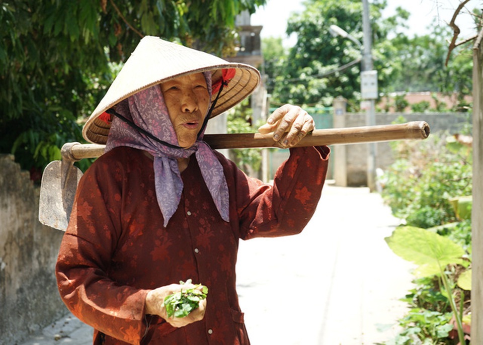 Cảm phục cụ bà gần 90 tuổi ra đồng thấy khỏe hơn ở nhà - 2