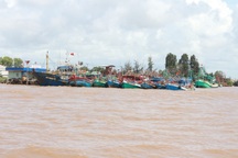 Sẽ xây cầu trăm tỷ nối Cà Mau và Bạc Liêu