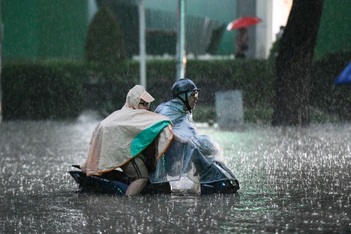 Chẳng cha mẹ nào muốn ép con mình học nhiều cả!