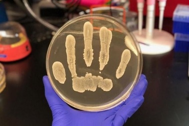 Vi khuẩn có lợi trên da phòng chống ung thư da