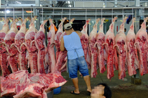 Xem xét kỷ luật cán bộ vụ phát hiện đường dây thịt heo bẩn ở TPHCM