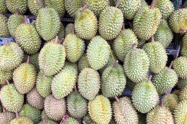 Giá sầu riêng giảm sốc, người mua tấp nập, ngày bán cả chục triệu đồng