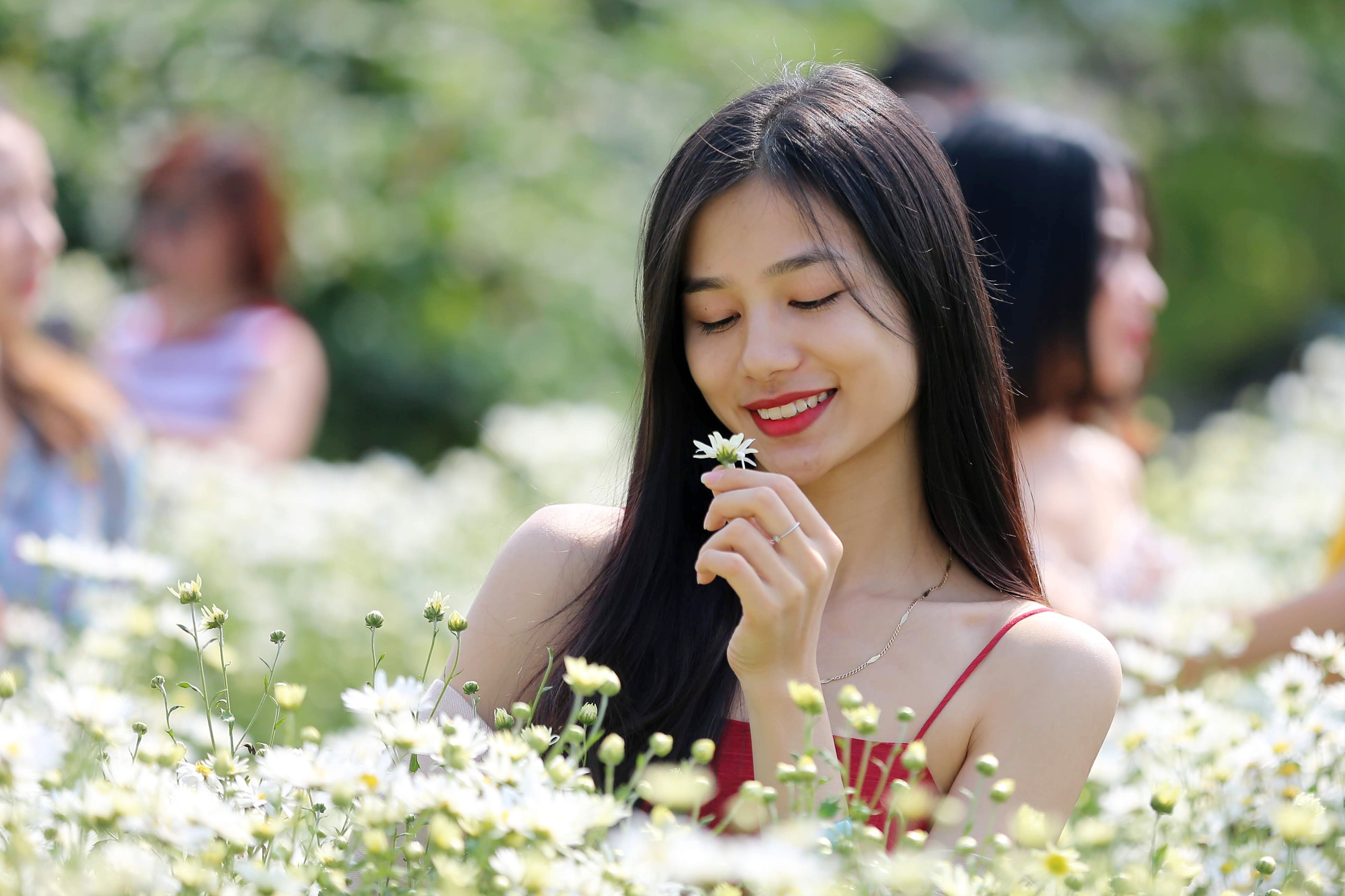 Nhiếp ảnh gia bó tay trước cảnh chen chân trong vườn cúc hoạ mi ở Hà Nội - 15 Nhiếp ảnh gia bó tay trước cảnh chen chân trong vườn cúc hoạ mi ở Hà Nội - 15