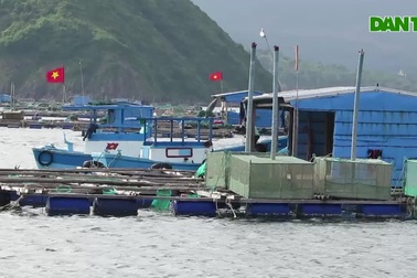 Phú Yên: Cương quyết không cho người ở lại trên các khu vực nuôi thủy sản