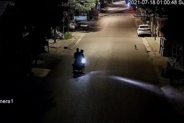 Chú chó thông minh khiến những tên "cẩu tặc" phải bất lực