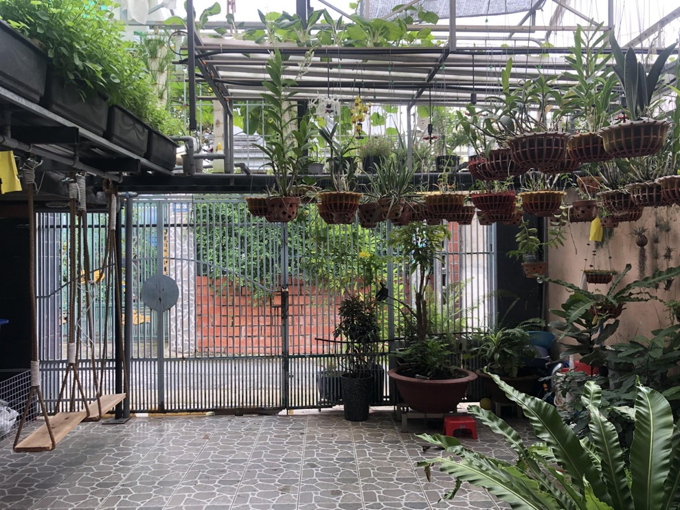 Ông bố chăm cá, làm vườn treo tại gia, cả nhà không phải đi chợ mùa dịch - 4 Ông bố chăm cá, làm vườn treo tại gia, cả nhà không phải đi chợ mùa dịch - 4