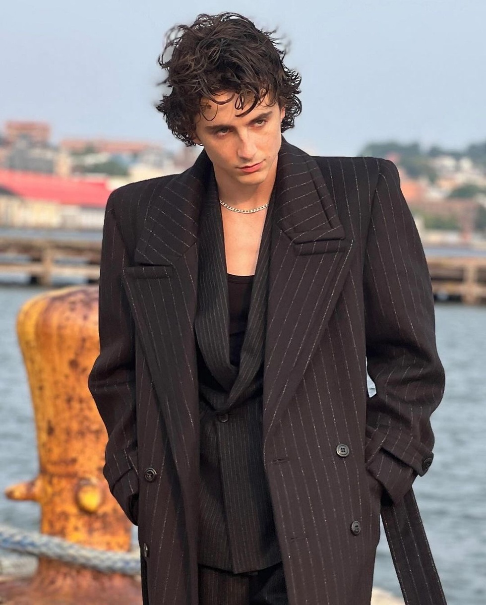 Timothée Chalamet đẹp trai nhất thế giới: Vẻ đẹp chàng thơ lên ngôi - 11