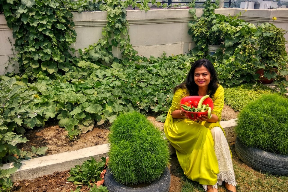 Mát mắt với khu vườn 240m2 trên sân thượng tầng 7 xanh tốt như nông trại - 5