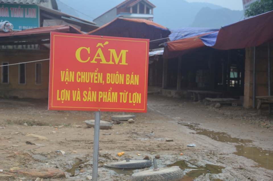 Người chăn nuôi thấp thỏm khi đàn lợn Tết đối diện nguy cơ dịch tả châu Phi - 7 Người chăn nuôi thấp thỏm khi đàn lợn Tết đối diện nguy cơ dịch tả châu Phi - 7