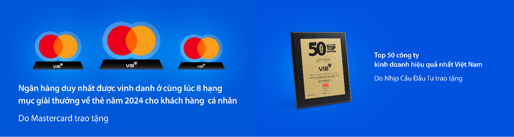 VIB công bố lợi nhuận năm 2024 hơn 9.000 tỷ đồng, tăng trưởng tín dụng 22% - 3 VIB công bố lợi nhuận năm 2024 hơn 9.000 tỷ đồng, tăng trưởng tín dụng 22% - 3