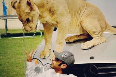 Thú vui kỳ quái của đại gia Trung Đông