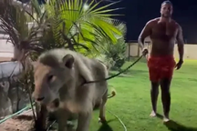 Kinh hãi cảnh võ sĩ dắt sư tử như thú cưng dạo chơi quanh nhà