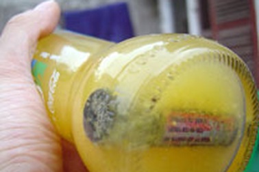 Phát hiện pin Con Thỏ trong chai Splash