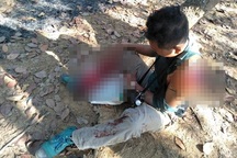 Người đàn ông ở Đồng Nai bị bò tót húc bay nhiều mảng thịt