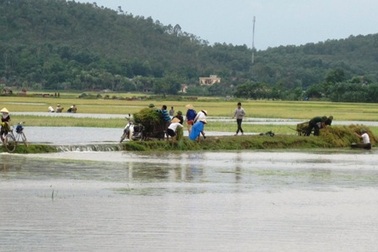 4 người chết, 10 thuyền viên mất tích do ảnh hưởng bão số 2