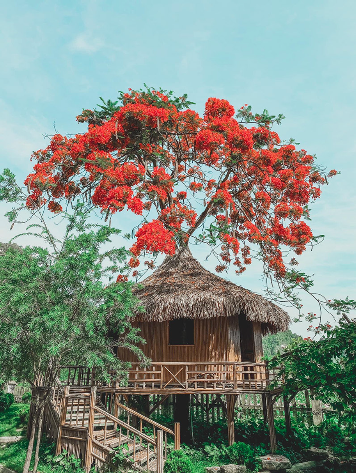 Khám phá Hang Múa, nơi mệnh danh tiên cảnh Ninh Bình - 2 Khám phá Hang Múa, nơi mệnh danh tiên cảnh Ninh Bình - 2