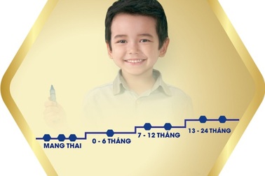 Giải mã sức hút của dòng sữa dành cho mẹ bầu