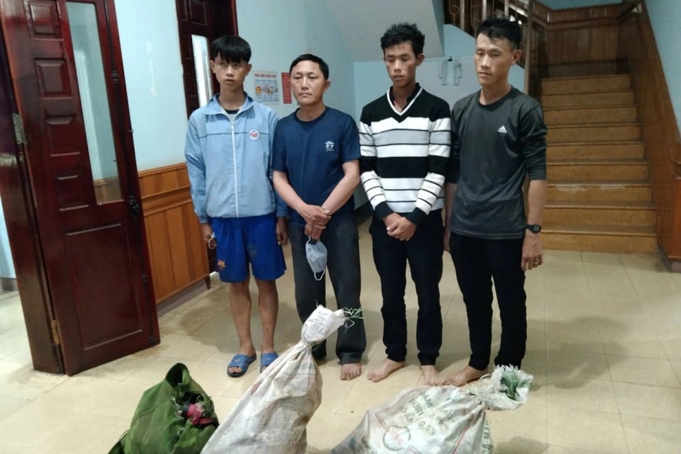 Sát hại sơn dương quý hiếm, 4 đối tượng bị bắt giữ - 1 Sát hại sơn dương quý hiếm, 4 đối tượng bị bắt giữ - 1
