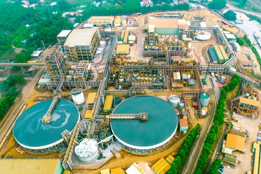 Masan thâu tóm mảng kinh doanh Vonfam của “gã khổng lồ” Đức