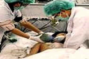 "Không thể nói uống rượu thế nào là an toàn"