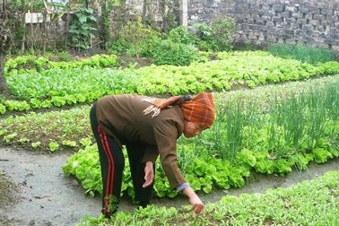 Người dân canh cánh nỗi lo thất nghiệp