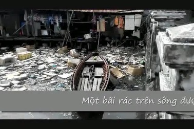 Phú Quốc bồng bềnh rác