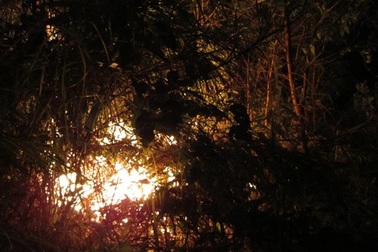 Huy động hơn 400 người dập đám cháy rừng