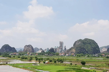Nhà máy xi măng từng "bức tử" 32.000m2 rừng được cấp phép môi trường