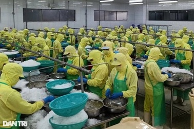 Cà Mau: Thưởng Tết Nguyên đán thấp nhất 200.000 đồng