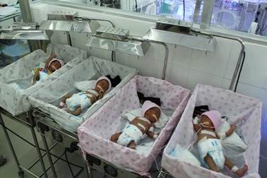 Cảnh đói khát chực chờ 4 bé gái sinh non