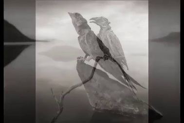 Hồ nước đỏ như máu, biến hàng nghìn sinh vật “hóa đá”