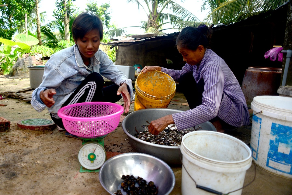 Nông dân miền Tây chật vật mưu sinh mùa nước lũ - 11 Nông dân miền Tây chật vật mưu sinh mùa nước lũ - 11