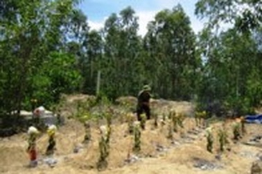 Hà Tĩnh: Phát hiện hàng chục ngôi mộ tại mỏ đá Khe Cạn