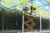 Nhà kính siêu hiện đại, rộng bằng 3 sân bóng đá trên sân thượng