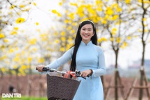 Cung đường hoa vàng nổi nhất Hà Nội thu hút đông người chụp ảnh, check-in