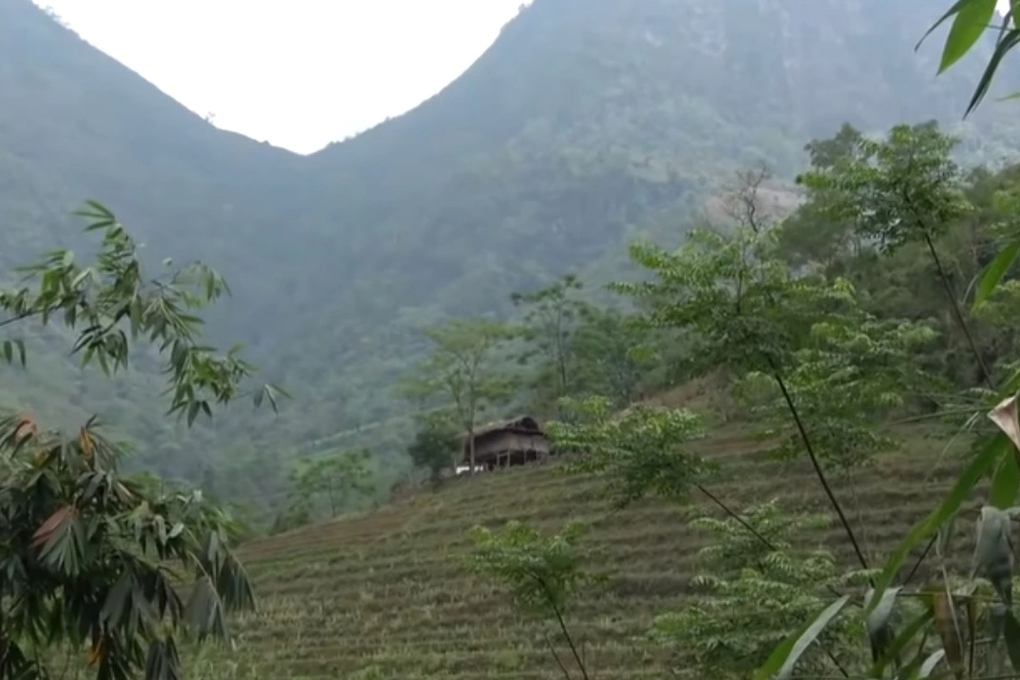 Bát canh đắng bất thường và vụ án ám sát cả gia đình - 1 Bát canh đắng bất thường và vụ án ám sát cả gia đình - 1
