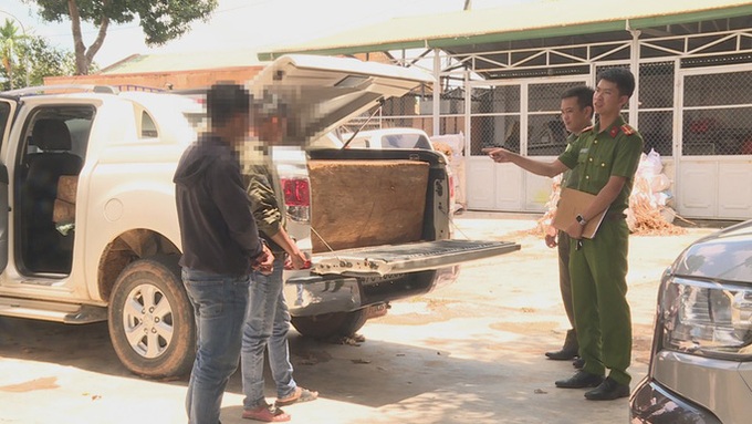 Đắk Lắk: Bắt quả tang hai thầy giáo chở gỗ Pơ Mu quý hiếm - Ảnh 1. Đắk Lắk: Bắt quả tang hai thầy giáo chở gỗ Pơ Mu quý hiếm - Ảnh 1.
