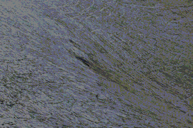 Mạo hiểm đạp xe xuống sườn núi hùng vĩ phủ đầy băng tuyết