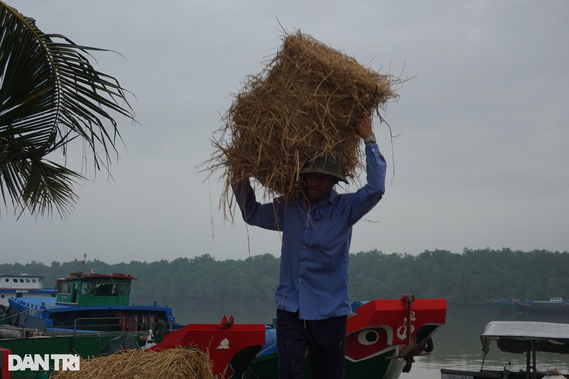 Chợ rơm lớn nhất miền Tây nhộn nhịp ngày áp tết - 5 Chợ rơm lớn nhất miền Tây nhộn nhịp ngày áp tết - 5