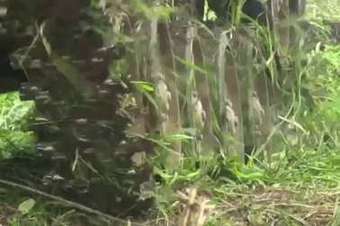 Lính dù Nga tấn công đổ bộ nhanh như thế nào? (1)