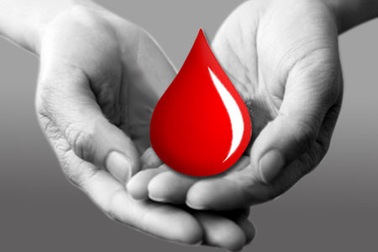 Những giọt máu cho đi như gió cuốn đi